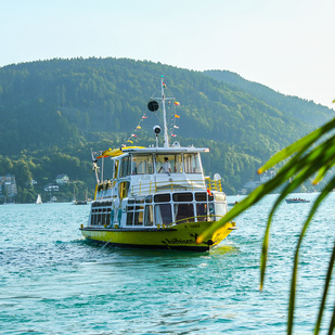Die Velden