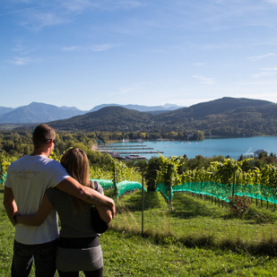 Pärchen vor Weinberg beim Schloss Freyenthurn in Klagenfurt