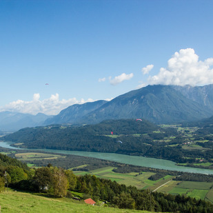 Drau