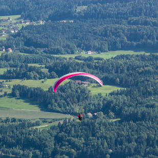 Paraglider