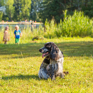 Familie mit Hund