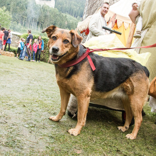 Mittelalterfest