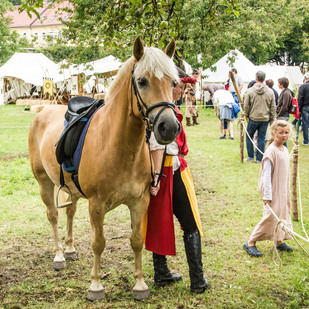Mittelalterfest