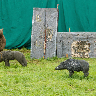 Mittelalterfest