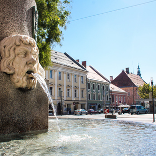 Spanheimerdenkmal Brunnen