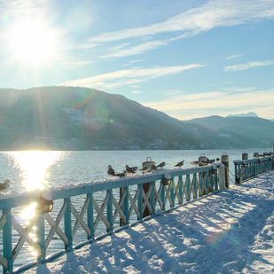 Winter Sonnenbucht