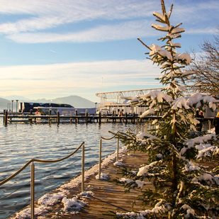 Christbaum am Steg