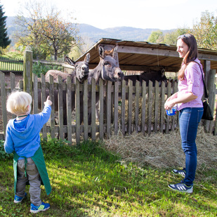 Urlaub am Bauernhof
