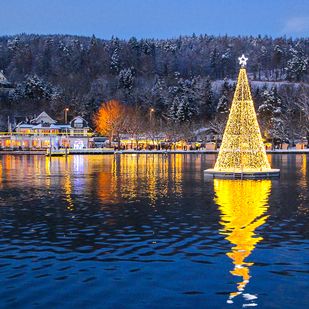 Schwimmender Christbaum
