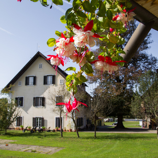 Urlaub am Bauernhof