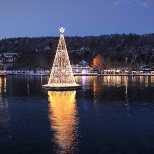 Christbaum