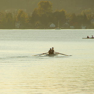 Rudern im Herbst