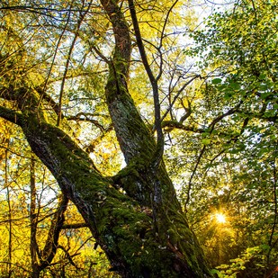 Herbstzeit