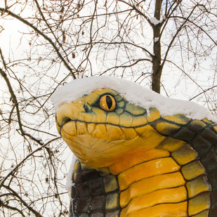 Reptilienzoo Winter