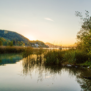 Herbstzeit