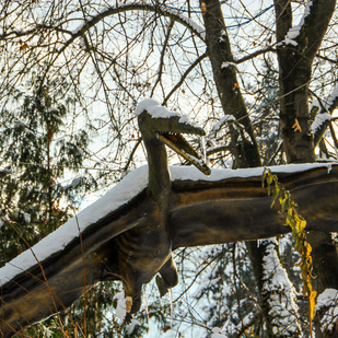 Reptilienzoo Winter