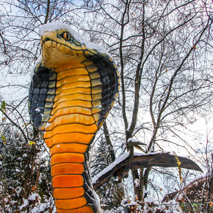 Reptilienzoo Winter