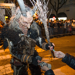 Krampusse