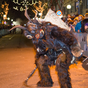 Krampusse