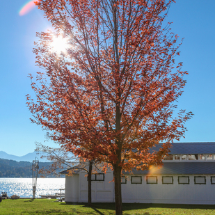 Herbststimmung am Wörthersee