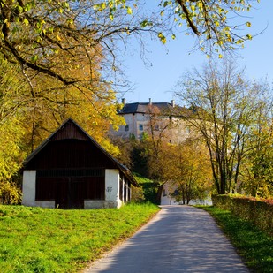 Hollenburg im Herbst