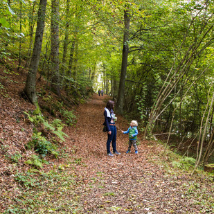 Wandern