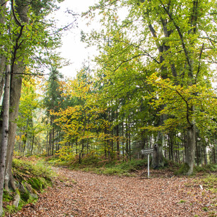 Wandern