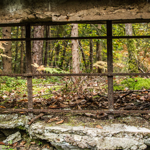 Wandern