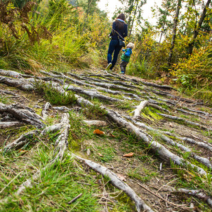 Wandern