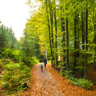 Wandern