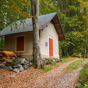 Wandern