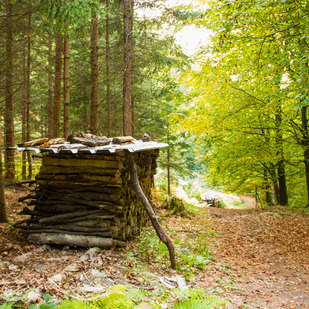 Wandern