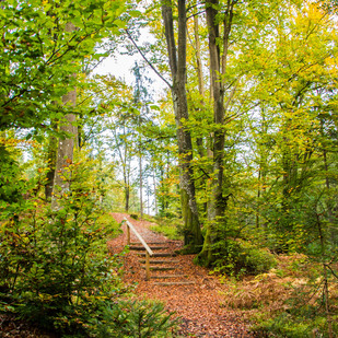 Wandern