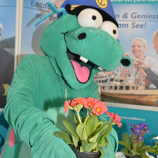 Wörthersee Drache