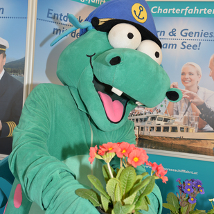 Wörthersee Drache