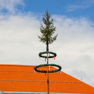 Maibaum
