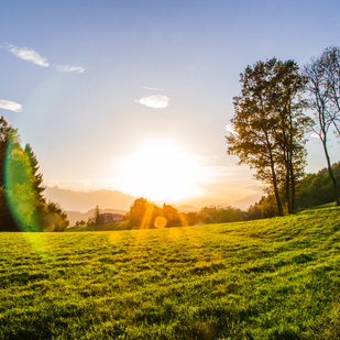 Carinthian Summer - Blick auf die Karawanken