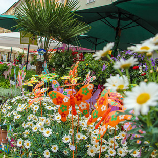 Blumenmarkt
