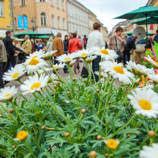 Blumenmarkt