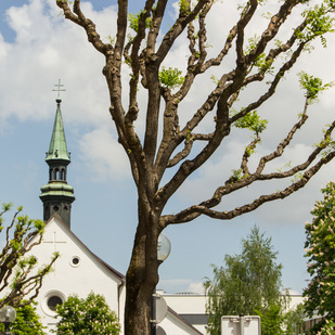 Kirche