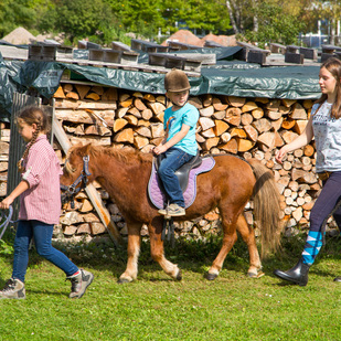 Polentafest