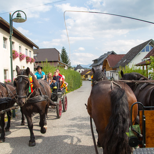 Polentafest