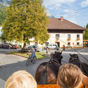 Polentafest