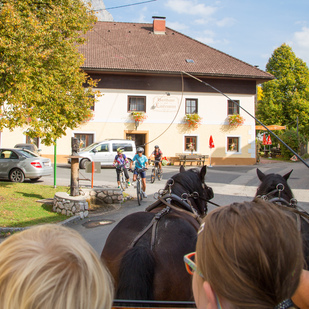 Polentafest