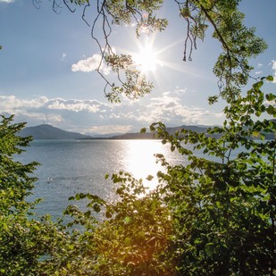 Sonne am See