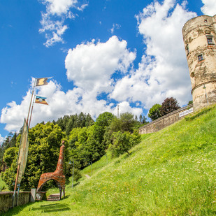 Alte Burg Gmünd