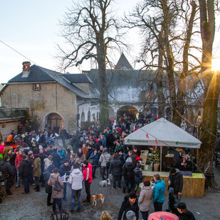 Advent auf der Burg