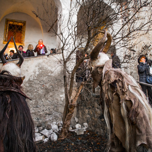 Krampusse