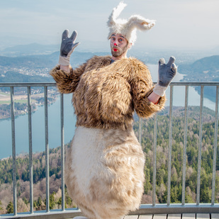 Osterhase