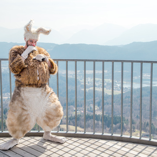 Osterhase